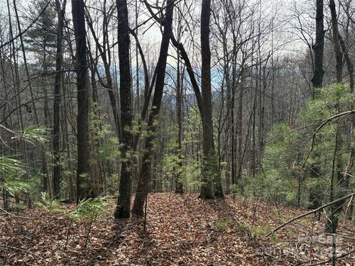 21-TBD Buck Mountain Road, Purlear, NC, 28665 | Card Image