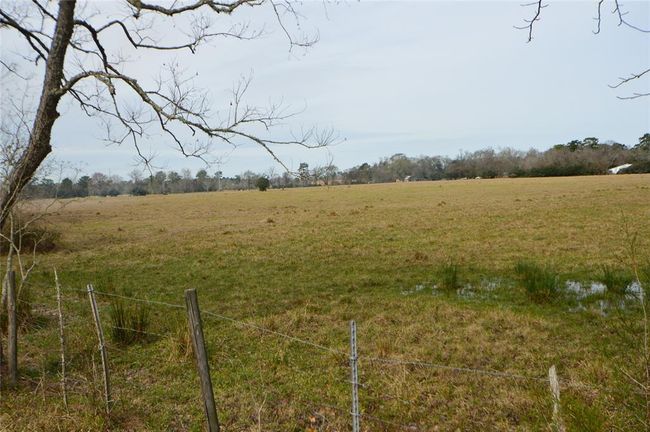 TBD000 Wiggins Rd, Home with 0 bedrooms, 0 bathrooms and null parking in Conroe TX | Image 6