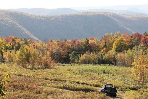 8 Thayer Rd, Monroe, MA, 01350 | Card Image