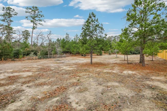 View of yard | Image 39