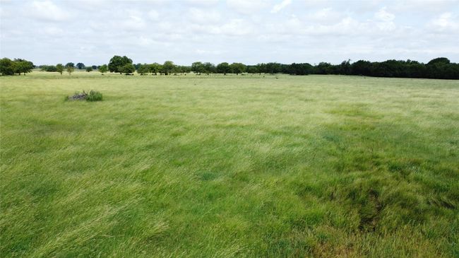 View of nature with rural landscape | Image 6