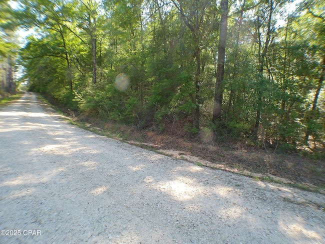 1725 - 00 Christian Life Rd, Home with 0 bedrooms, 0 bathrooms and null parking in Defuniak Springs FL | Image 10
