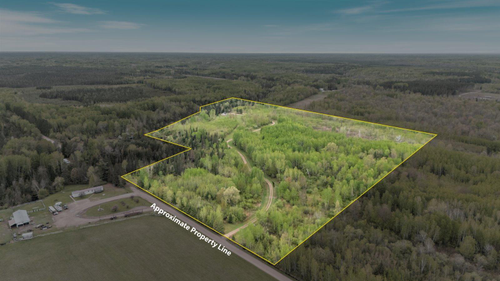 TBD Billy Creek Rd E, Big Falls, MN, 56627 | Card Image