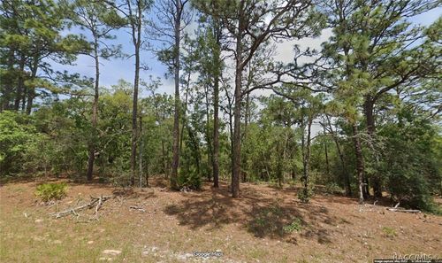 11351 N Kenney Loop, DUNNELLON, FL, 34433 | Card Image