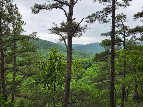 0 Angora Mountain Rd, Leslie, AR, 72645 | Card Image
