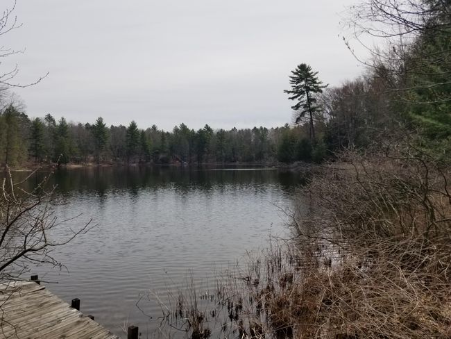 15 W 12 Mile Rd, Home with 0 bedrooms, 0 bathrooms and null parking in Irons MI | Image 18