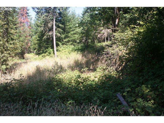 3647 Briar Knob Loop Ne, Home with 0 bedrooms, 0 bathrooms and null parking in Scotts Mills OR | Image 11