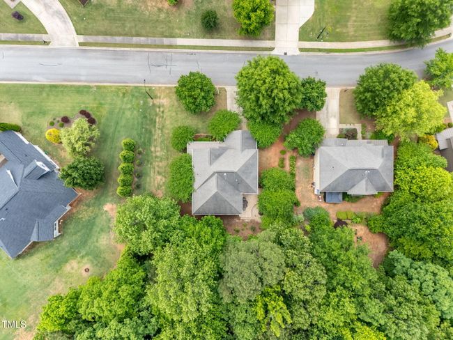 19-web-or-mls-DJI_20250508125218_0072_D | Image 6