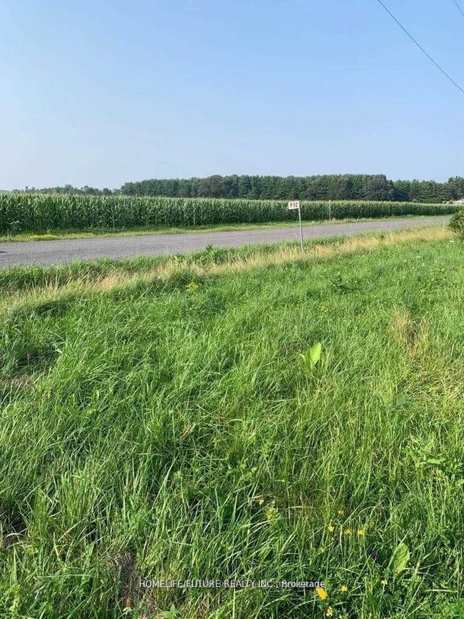 0 Shermans Point Rd, Home with 0 bedrooms, 0 bathrooms and null parking in Greater Napanee ON | Image 4