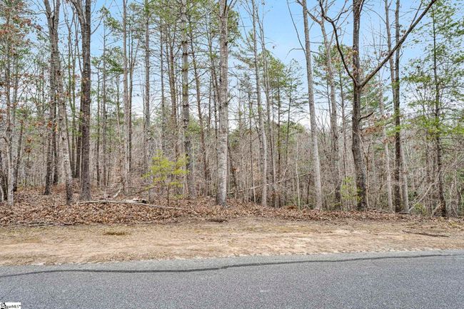 109 Wake Robin Dr, Home with 0 bedrooms, 0 bathrooms and null parking in Sunset SC | Image 12
