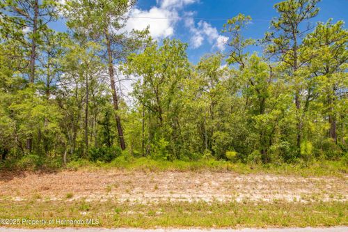 16240 Mount Sparrow Rd, Weeki Wachee, FL, 34614-0500 | Card Image