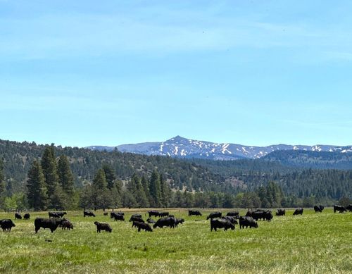 535 County Road 199, Alturas, CA, 96101 | Card Image
