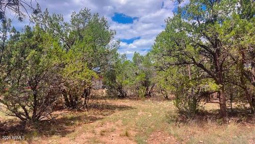 322-3491 Evergreen Dr, Overgaard, AZ, 85933-5145 | Card Image