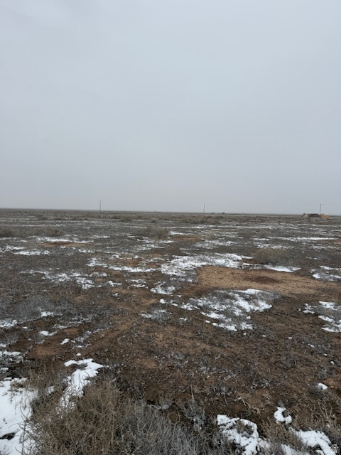 Land in Beryl 2