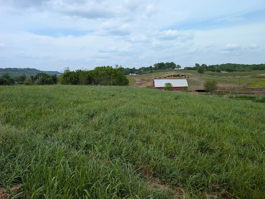Land in Burkesville