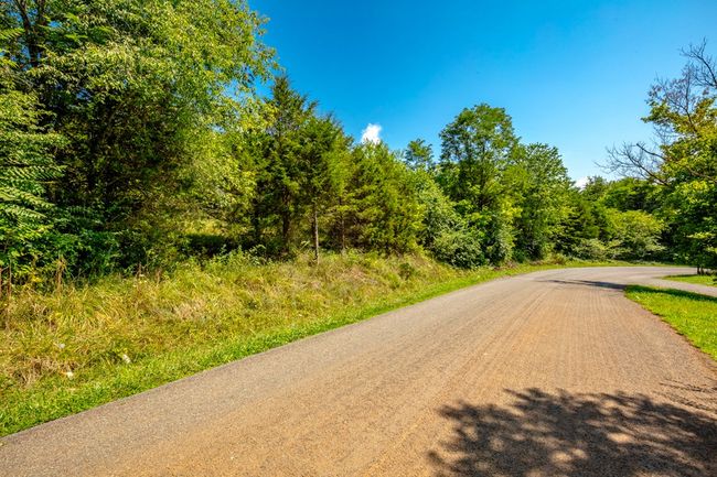 Lot 22 Lone Ash Rd, Home with 0 bedrooms, 0 bathrooms and null parking in Barren Springs VA | Image 8