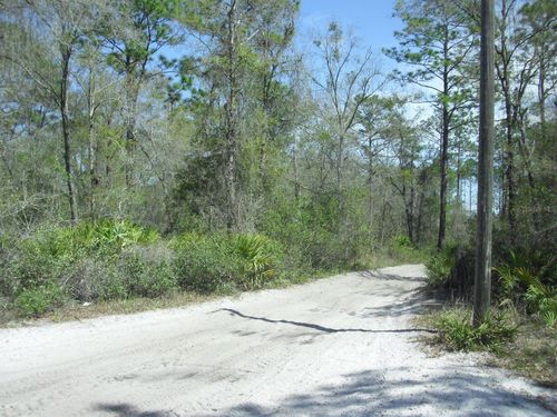Tract 418 Sw 158th Lane, Dunnellon, FL, 34432 | Card Image