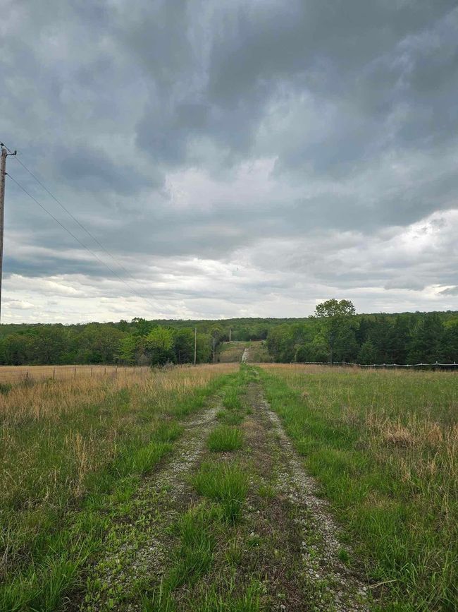 South Drive 4 | Image 11