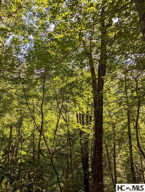 Lot 24 Pilot Knob Rd, Glenville, NC, 28736 | Card Image