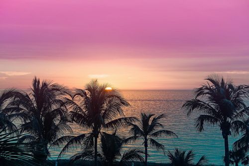 1105-176 S Collier Boulevard, MARCO ISLAND, FL, 34145 | Card Image