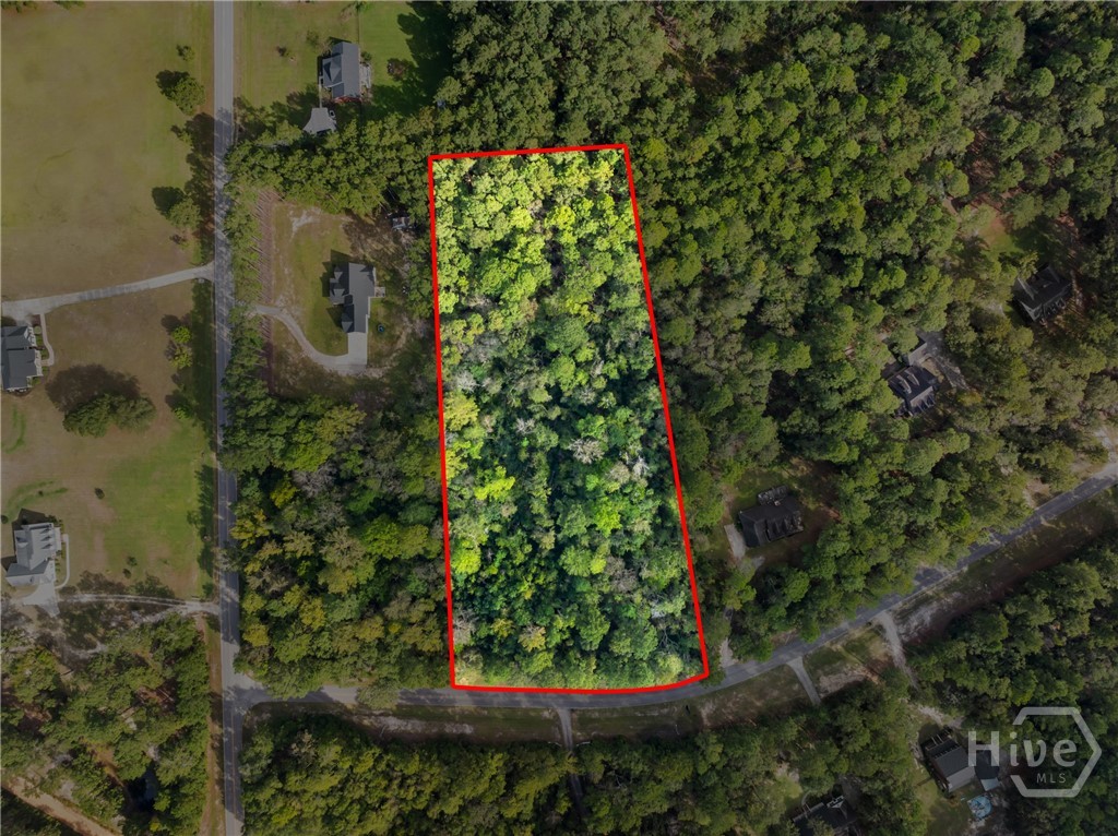 Land in Statesboro 5