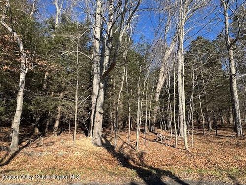 Tbd Park, Lexington, NY, 12452 | Card Image