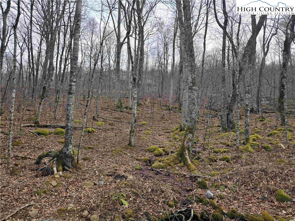 Land in Sugar Mountain 5