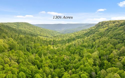 7335 S Pittsburg Mountain Rd, South Pittsburg, TN, 37380-6211 | Card Image