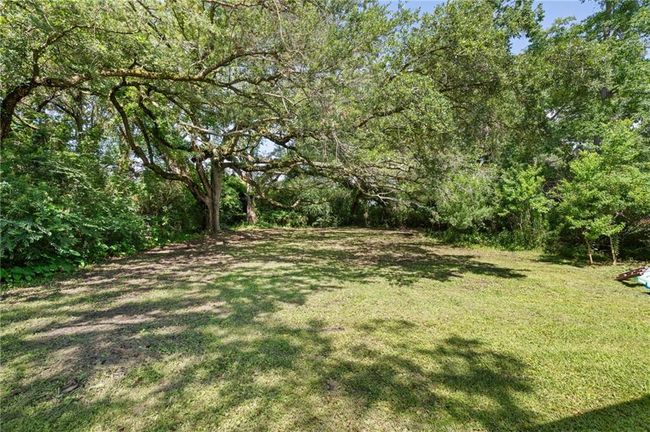 View of grassy yard with a forest view | Image 22