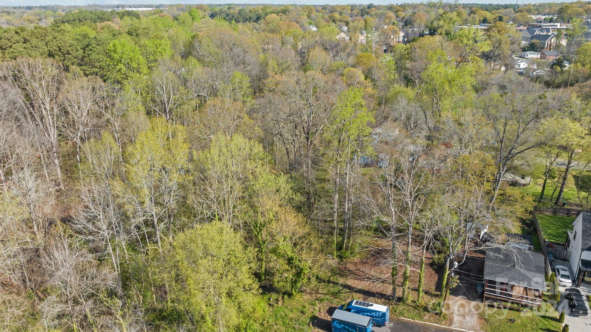 Land in Belmont 2