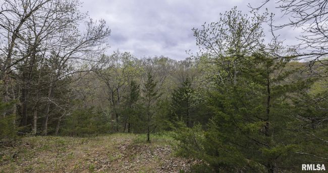 0 N Chambers Rd, Home with 0 bedrooms, 0 bathrooms and null parking in Smithfield IL | Image 26