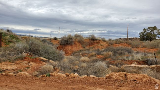 View of local wilderness | Image 5