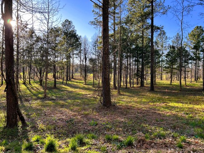 4 Hiwassee Rd, Home with 0 bedrooms, 0 bathrooms and null parking in Calhoun TN | Image 8