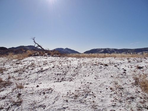 83 Bull Rock Ct, Livermore, CO, 80536-8747 | Card Image