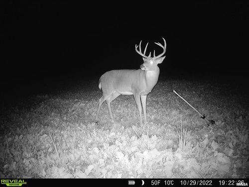 000 Clay Rd, Noble, IL, 62868 | Card Image