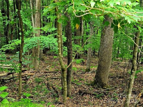 5-TBD Red Fox Ridge, Boone, NC, 28607 | Card Image