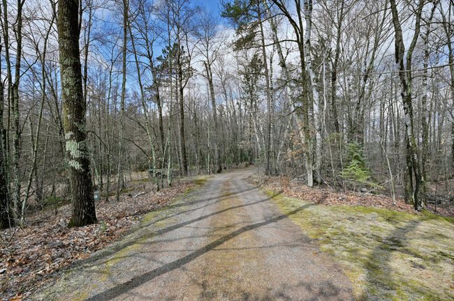 DSC_5341.jpg This is the drive into the property. Lipsett Access Road is a paved township road. | Image 63