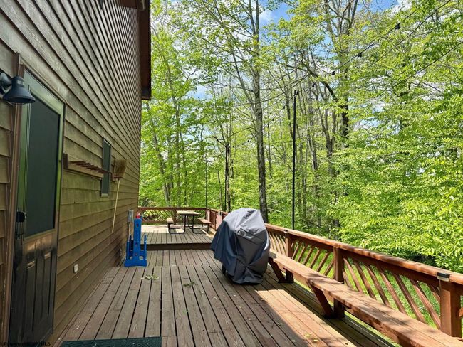 146 Yoakum Run Rd, House other with 4 bedrooms, 3 bathrooms and 3 parking in Davis WV | Image 37