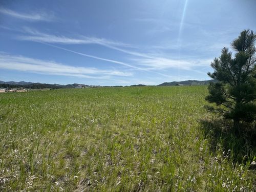 Lot 23 Park Avenue, Custer, SD, 57730 | Card Image