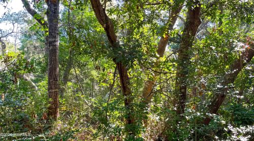 51 Fort Holmes Trl, Bald Head Island, NC, 28461-5053 | Card Image