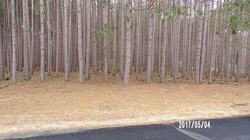 246 Winchester Road, Rome, WI, 54457 | Card Image