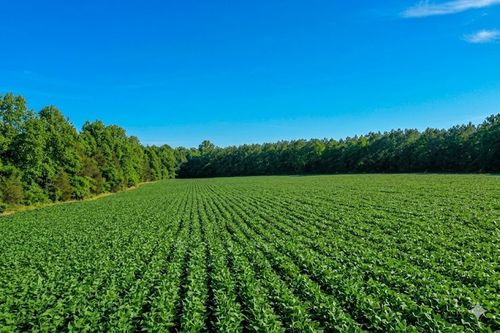 0 Doe Rd, Saltillo, TN, 38370 | Card Image