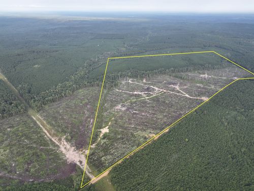 1 Red Rock Rd, Robeline, LA, 71469 | Card Image