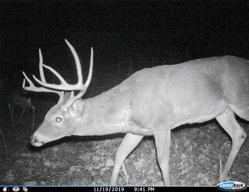TBD County Road 502, Ellington, MO, 63638 | Card Image