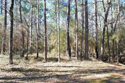 3 Magnolia Ct, Trinity, TX, 75862 | Card Image