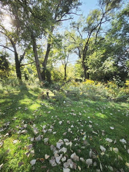 756 Franklin St, Valparaiso, IN, 46383-6428 | Card Image