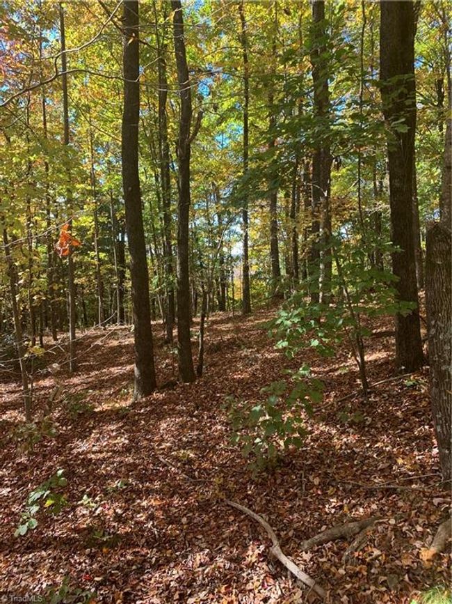 Lot 9 Falcon Ridge Dr, Home with 0 bedrooms, 0 bathrooms and null parking in Moravian Falls NC | Image 6