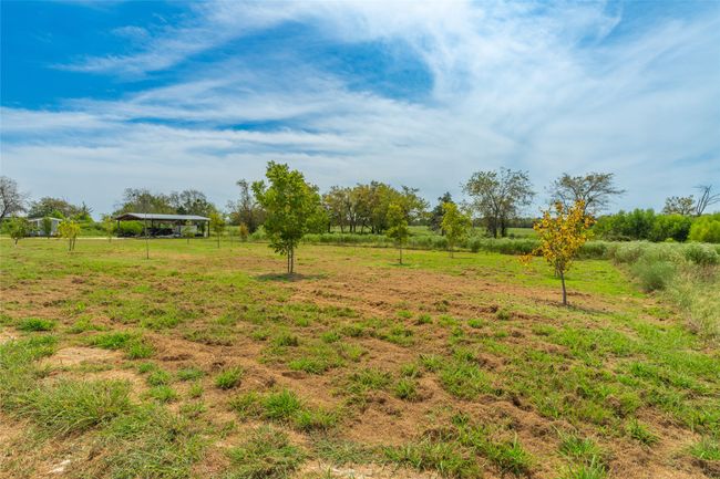 Fruit Trees | Image 33