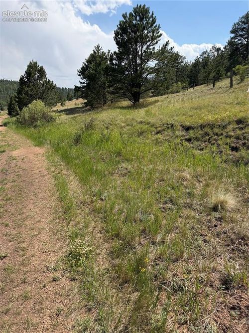 39 Rabbil Creek Dr, Florissant, CO, 80816 | Card Image