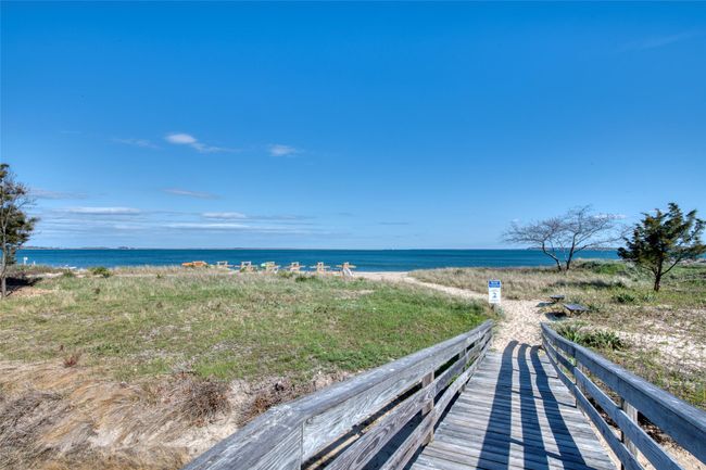 Association beach | Image 10
